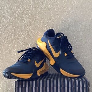 Nike Blue and Yellow Athletic Shoes